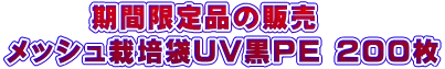 期間限定品の販売 メッシュ栽培袋UV黒PE 200枚
